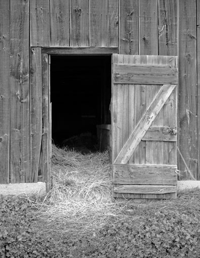 OPEN BARN DOOR